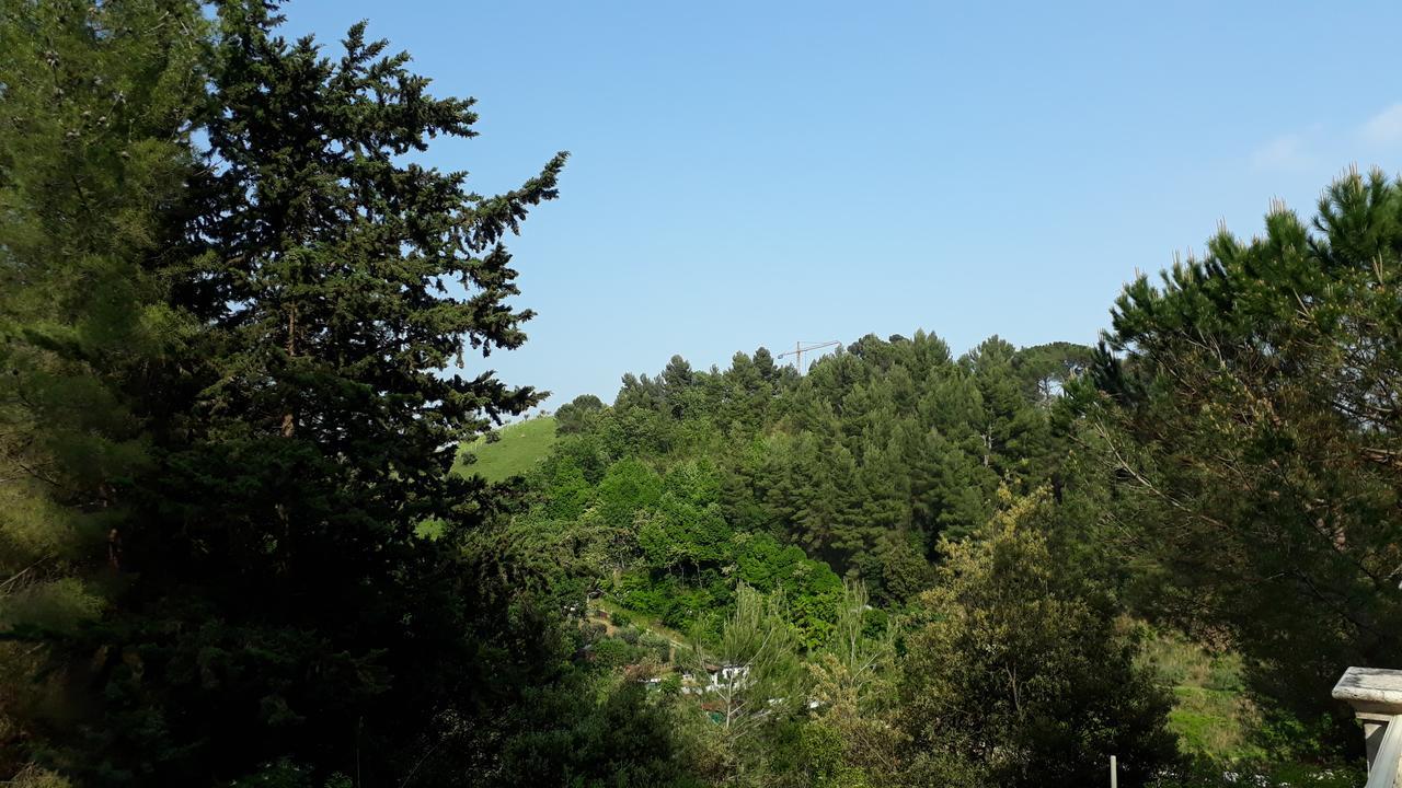 Parco Dei Gelsomini Bed & Breakfast Ascoli Piceno Exterior photo
