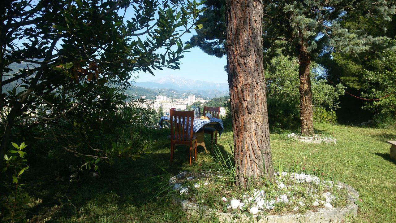 Parco Dei Gelsomini Bed & Breakfast Ascoli Piceno Exterior photo